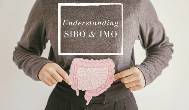 Understanding SIBO and IMO